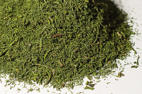 Aneth aromate - La Belle Verte