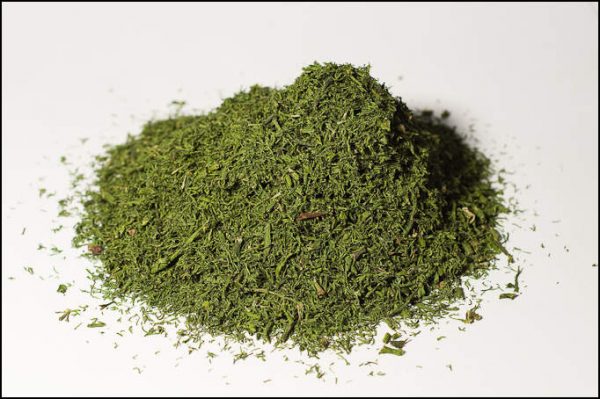 Aneth aromate - La Belle Verte