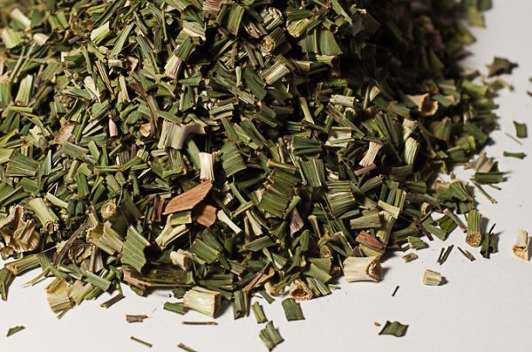Citronnelle aromate - La Belle Verte