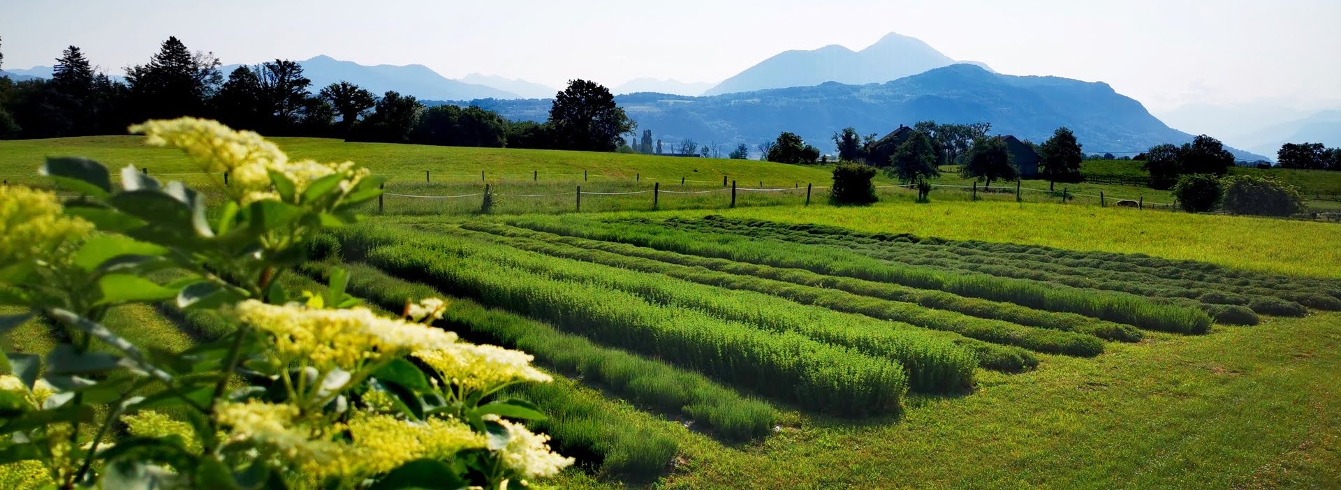 La Belle Verte jardin au fil des saisons
